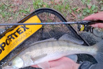 Black Arrow G4