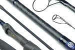 Invictus CS2 Carp