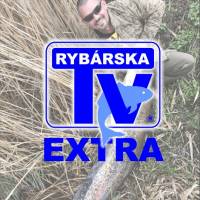 RTV Extra: Monte na drav ryby