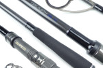 Triumph Carp