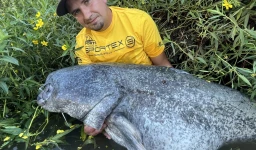 Sumcové pruty SPORTEX: Nezdolná síla s 10letou zárukou Sumcové pruty SPORTEX: Nezdolná síla s 10letou zárukou