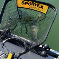 Sportex podbrk pro kadho rybe