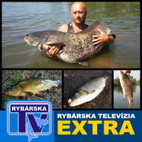 Rybsk Televize EXTRA: Nastraen rybek na sumce