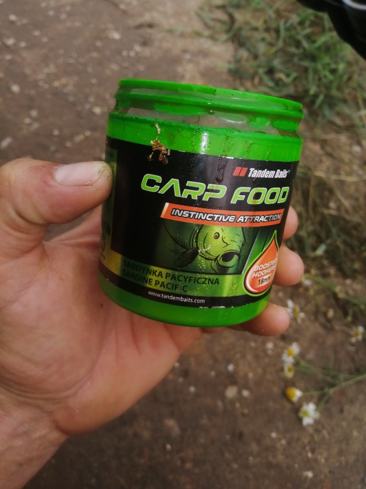 Carp Food