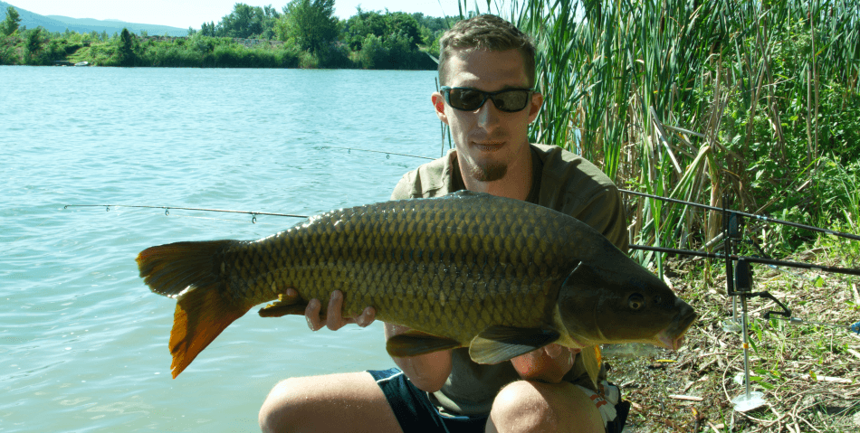 boilies v pre