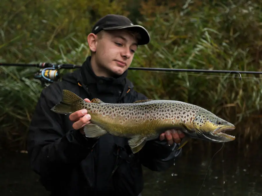 Technick� parametry mu�ka�sk�ch prut� SPORTEX 2026