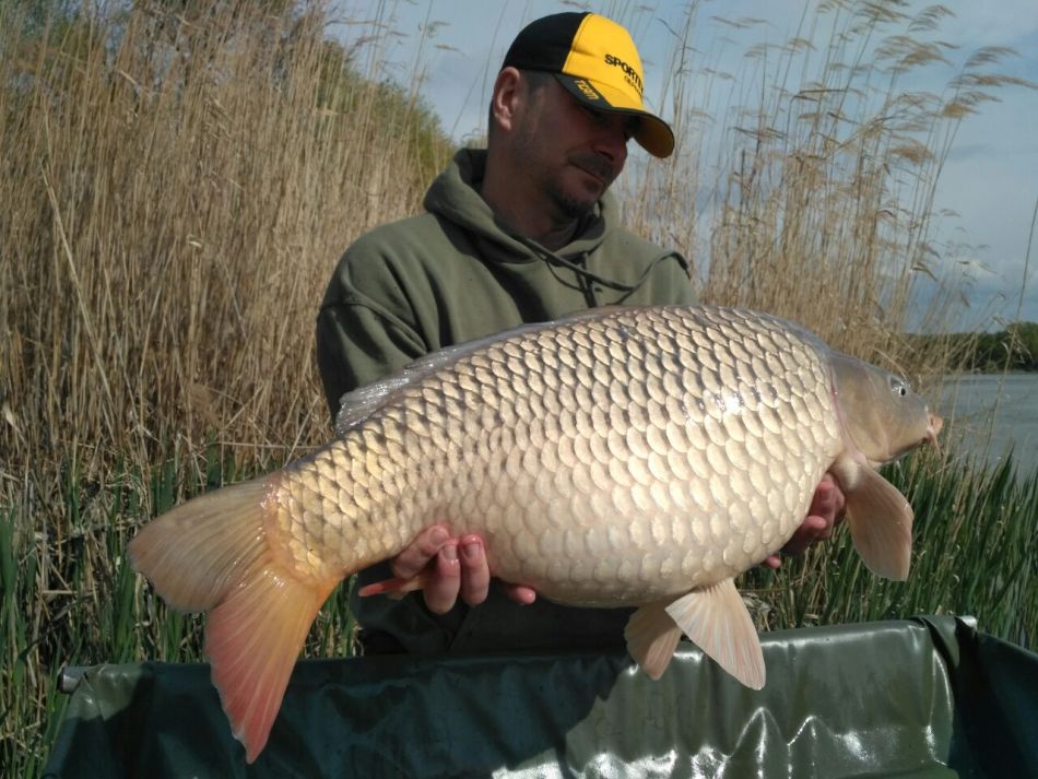 janko zselenk