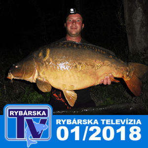 rybarska televizia rybarska televize lov kapra