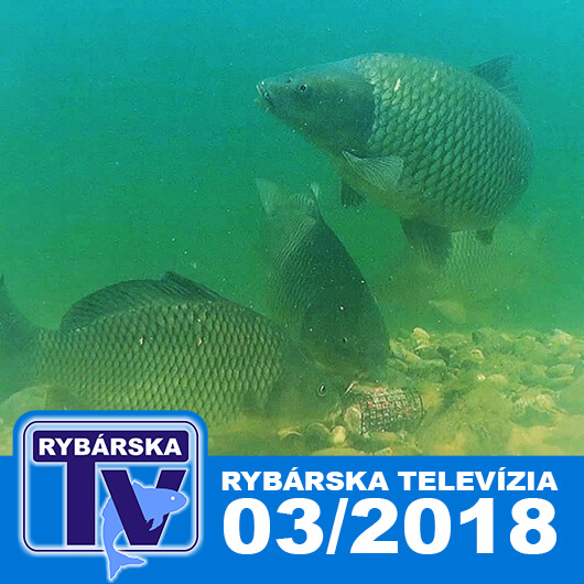 rybarska televize feeder