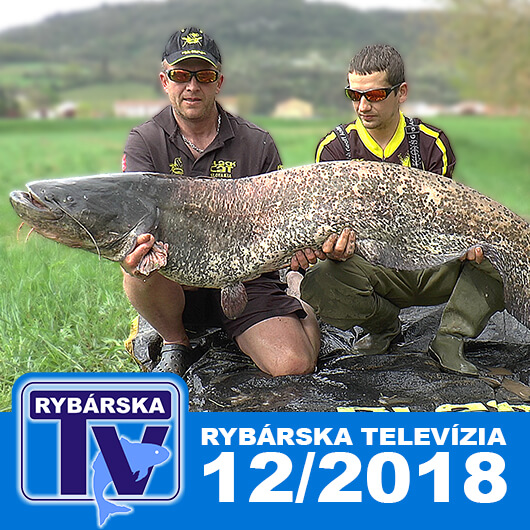 Rybsk Televize