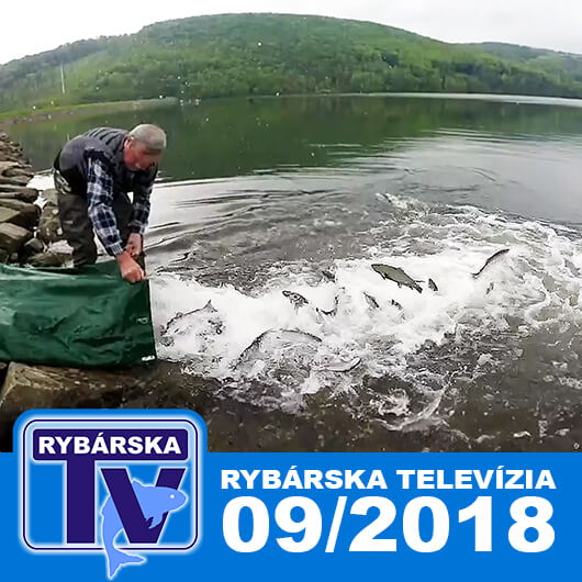 rybska televize