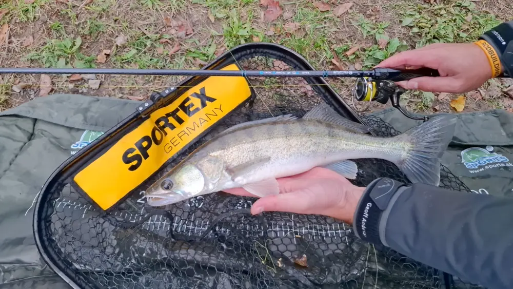 Expert Erik testuje přívlačový prut SPORTEX Black Arrow G4 u vody