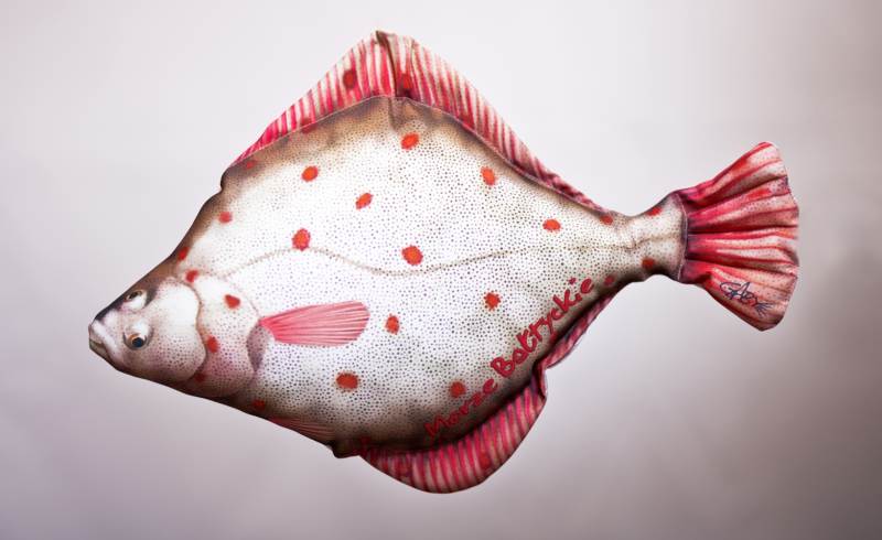 Dekoračný polštář - Platýz 40cm