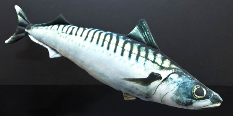 Dekoračný polštář - MAKRELA 50cm