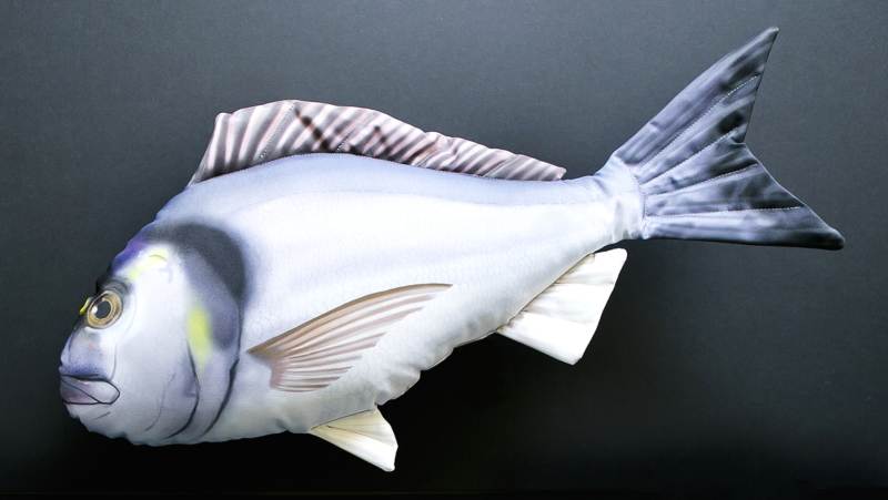 Dekoračný polštář - Pražma královská 60cm