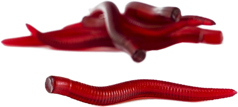 Umělá plovoucí Redworm - 6 ks M (natural smell)