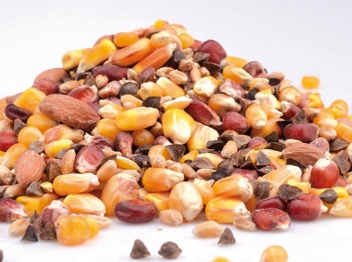 Impact Carp Mix 1kg