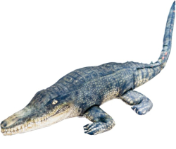 Dekorační polštář - Krokodýl 120cm