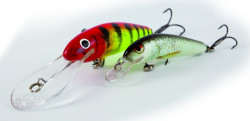 Salmo rybsk woblery Minnow M6F