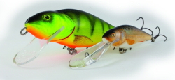 Salmo rybsk woblery PERCH PH8DR