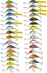 Salmo rybsk woblery Hornet H4SDR