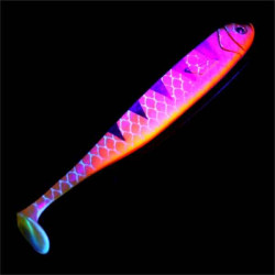 Zander Gummifisch 12cm. 5ks UV Okoun