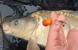 SuperFeed- Diffusion Mini Boilies-plovouc 14-16mm / 90g