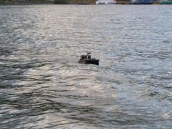 Akce Zavážecí loďka a bezdrátový sonar v hodinkách